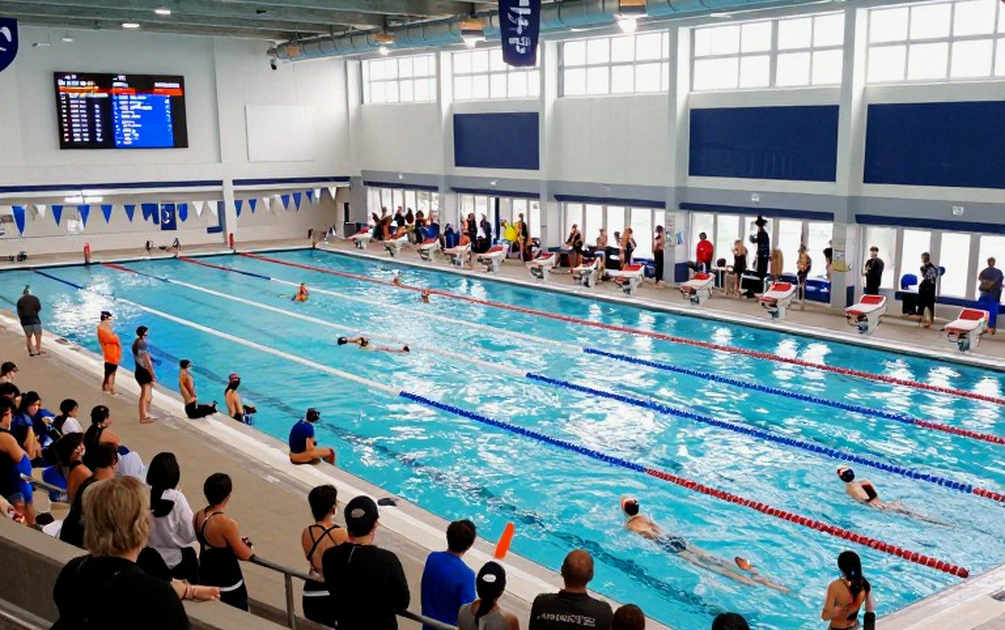 Vietnam's Swimming Data Gap: When Analysis Stops at the Final Time Vietnam's Swimming Data Gap: When Analysis Stops at the Final Time