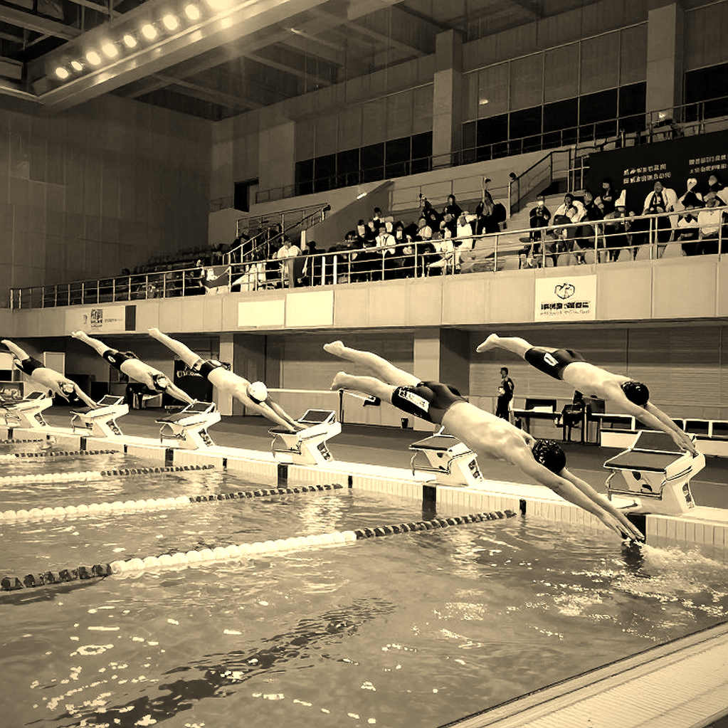 Bơi lội Việt Nam từ SEA Games đến Olympic: Câu chuyện phía sau những đường bơi