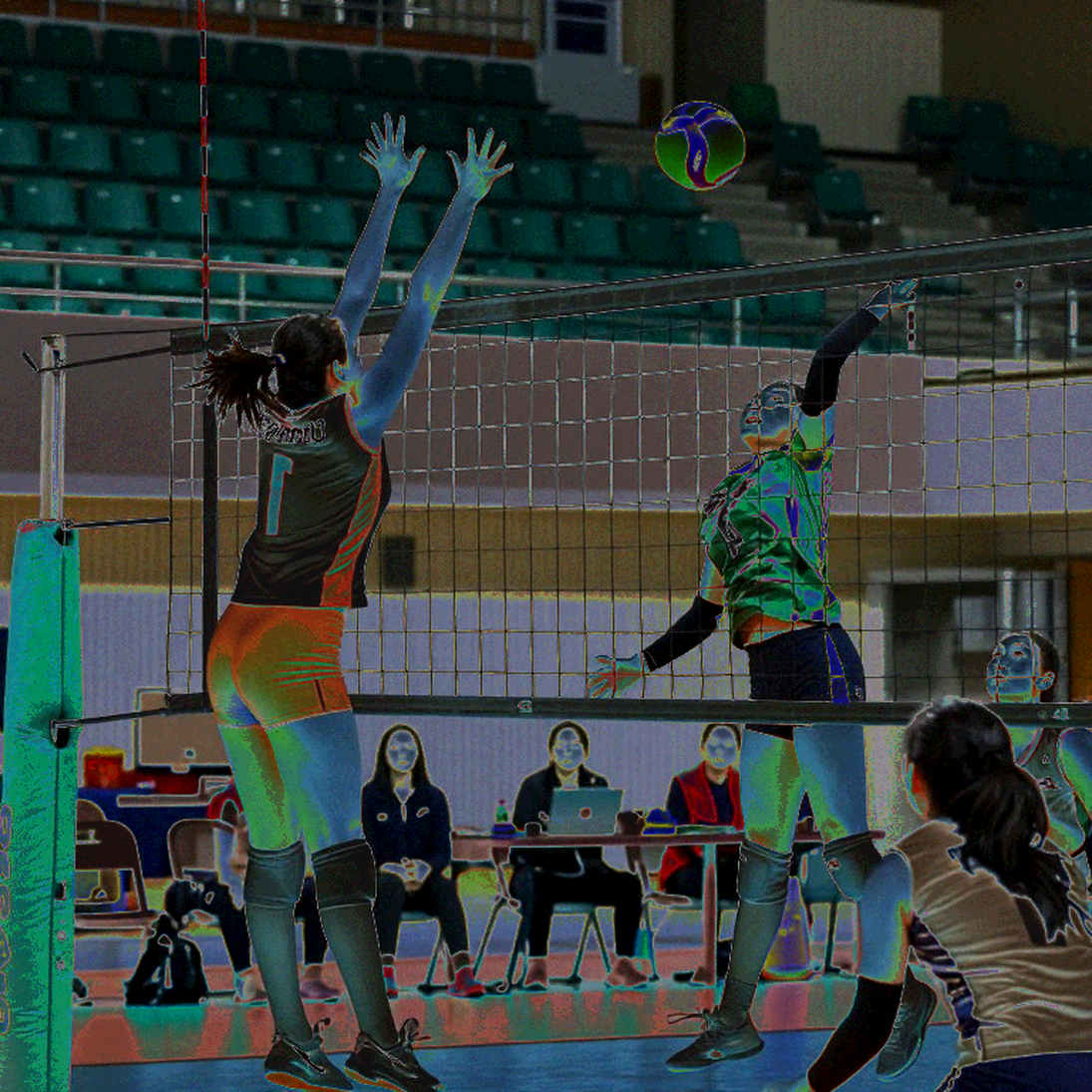 Women's Volleyball Asiad 20: China vs Japan and the Fitness Equation Behind Two Contrasting Semifinal Scorelines