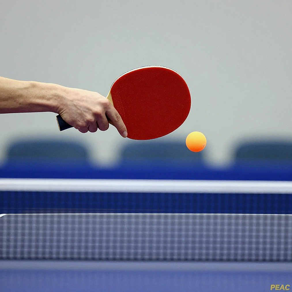 The Gap Is the Data: The Discipline of Analysis in Professional Table Tennis