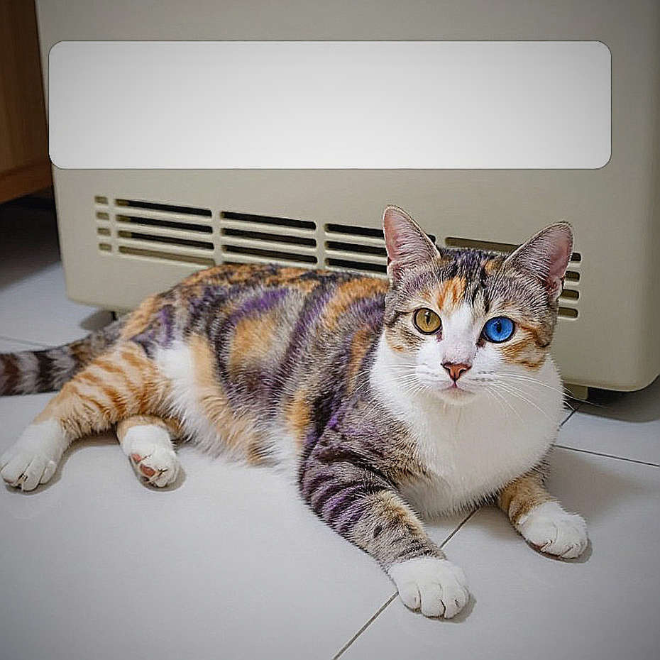 Khi phân tích F1 là 'N/A': Lỗ hổng dữ liệu phơi bày căn bệnh kinh niên của báo chí thể thao Khi phân tích F1 là 'N/A': Lỗ hổng dữ liệu phơi bày căn bệnh kinh niên của báo chí thể thao